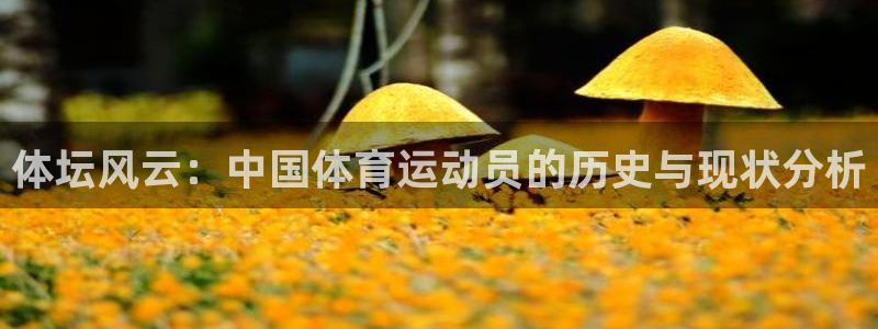 火凤体育直播高清入口：体坛风云：中国体育运动员的历史与现状分析