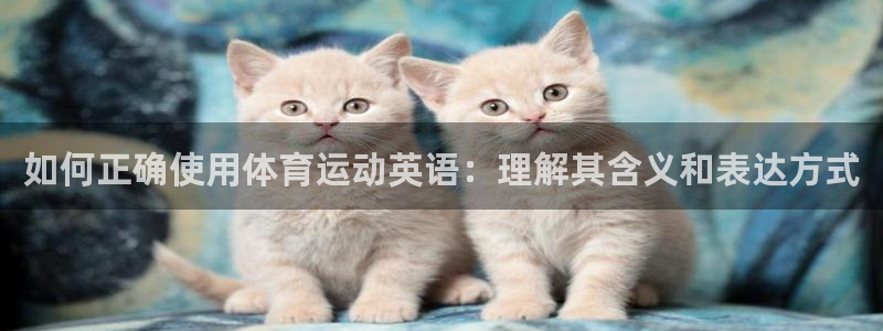 火凤体育回放：如何正确使用体育运动英语：理解其含义和表达方式