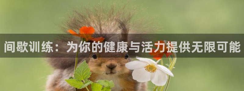 火凤体育免费直播平台：间歇训练：为你的健康与活力提供无限可能