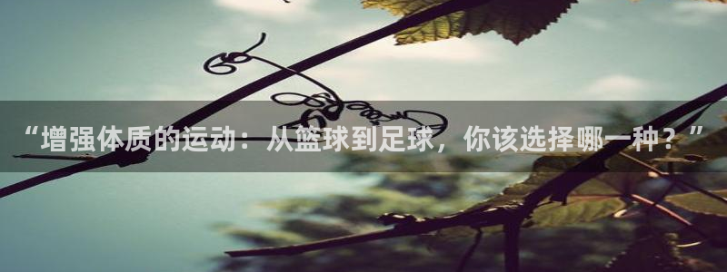 火凤体育app：“增强体质的运动：从篮球到足球，你该选择哪一种？”