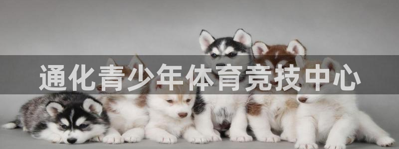 火凤体育官网：通化青少年体育竞技中心